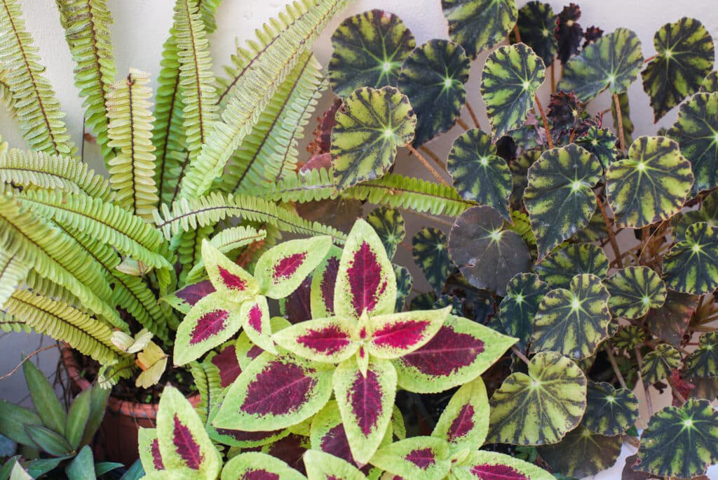 Design with nature | Avishai Friedman. אדריכלות נוף, פיתוח בר קיימא