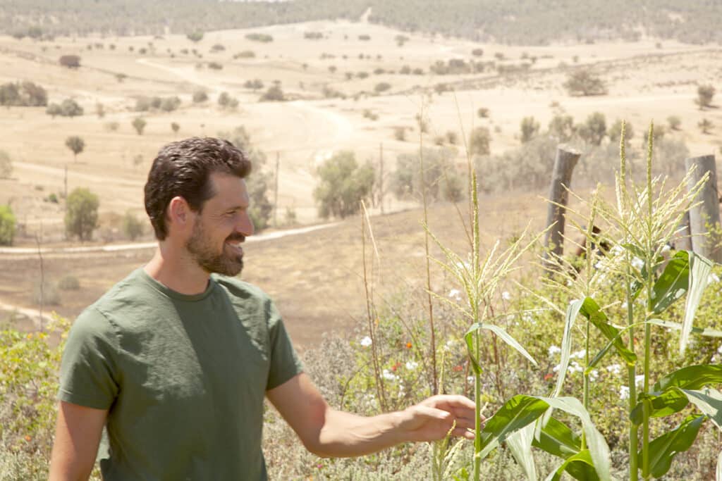 אבישי פרידמן, אדריכלות נוף | מגוון רחב של פרויקטים, בסדרי גודל שונים
