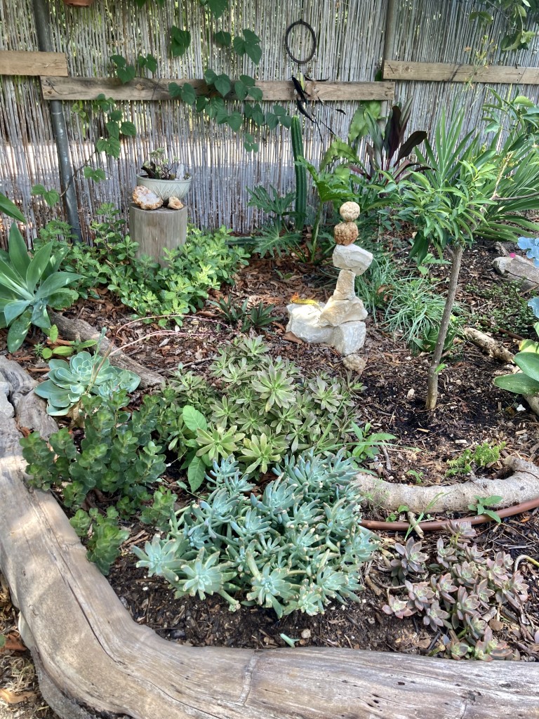 אבישי פרידמן | מה זה פרמקלצ'ר ואיך זה מתחבר לאדריכלות נוף?