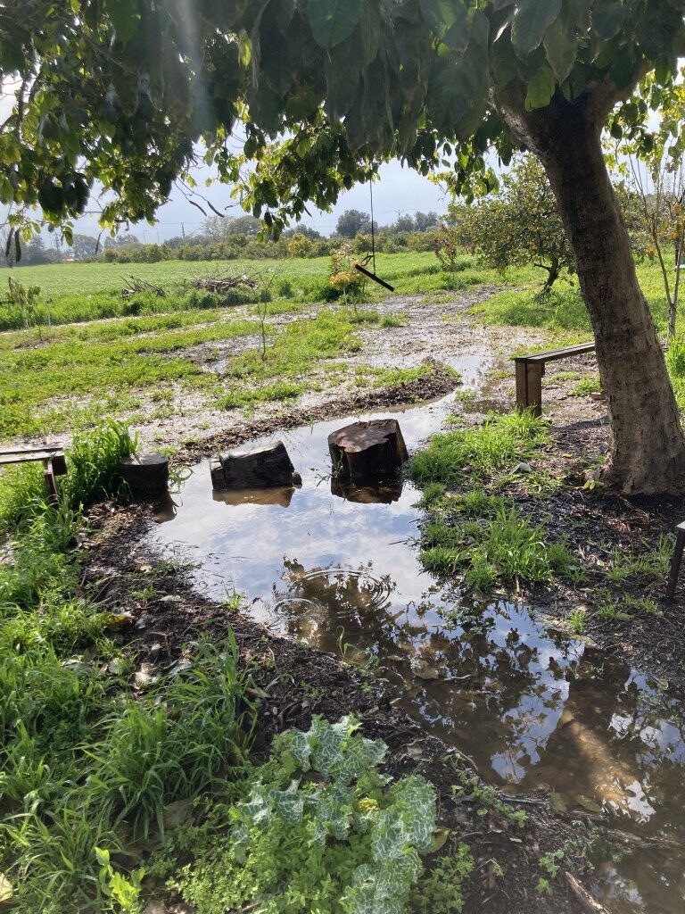 אבישי פרידמן | מה זה פרמקלצ'ר ואיך זה מתחבר לאדריכלות נוף?