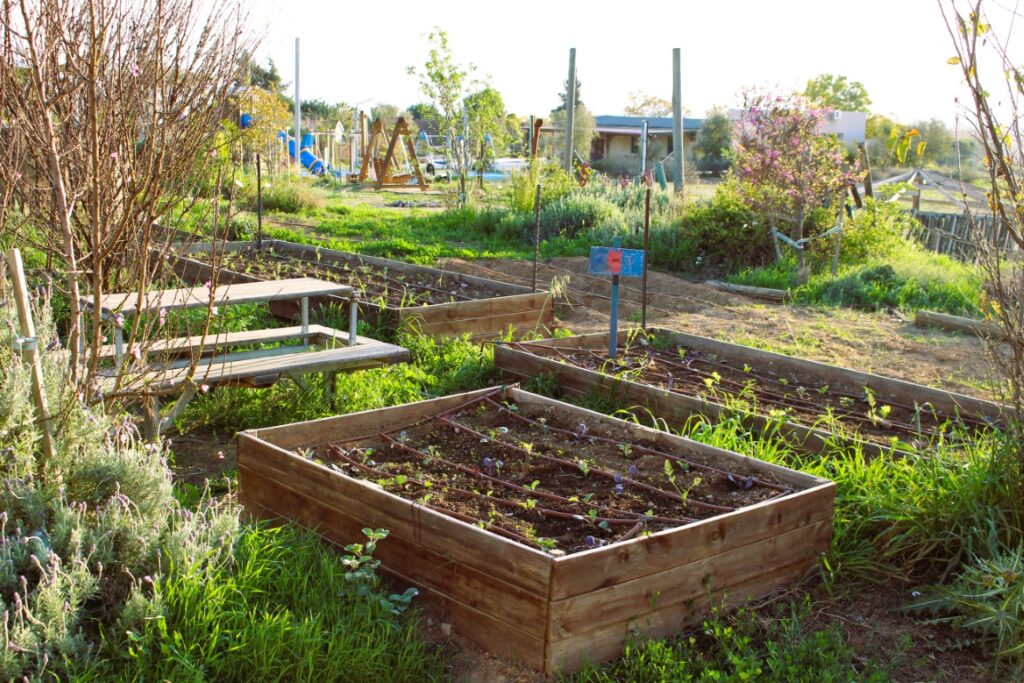 אבישי פרידמן | מה זה פרמקלצ'ר ואיך זה מתחבר לאדריכלות נוף?