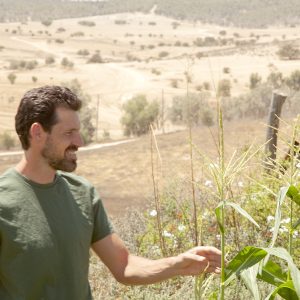 אבישי פרידמן, אדריכלות נוף | מגוון רחב של פרויקטים, בסדרי גודל שונים